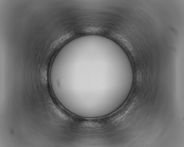 X0000112170633200908211427