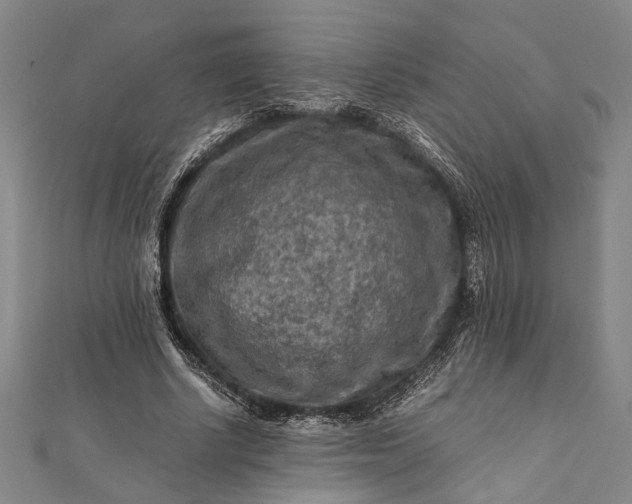 X0000112170634200908211427