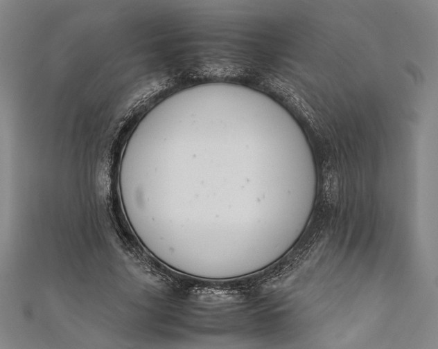 X0000112170635200908211427