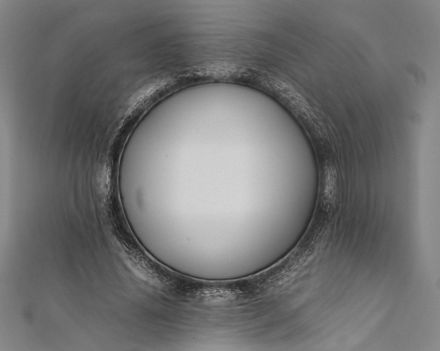 X0000112170636200908211427