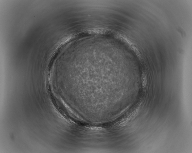 X0000112170637200908211427