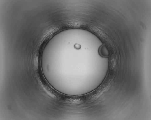 X0000112170638200908211427