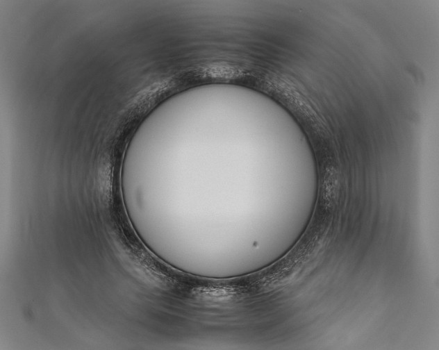 X0000112170639200908211427