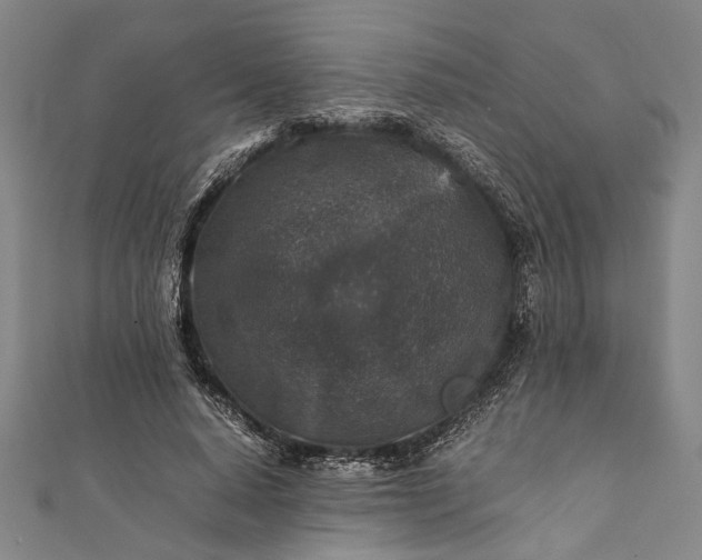 X0000112170640200908211427