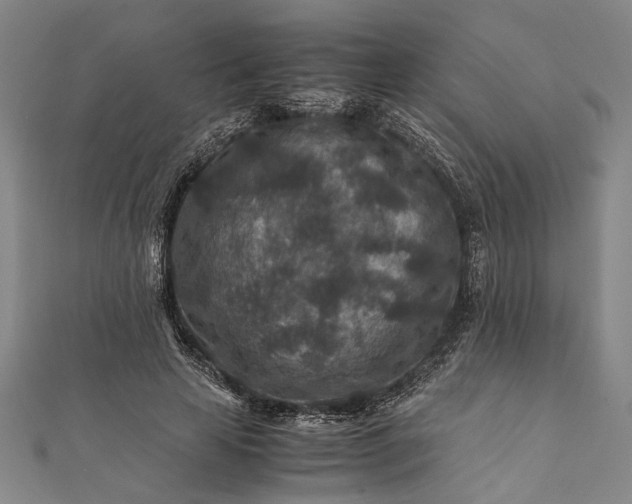 X0000112170641200908211427