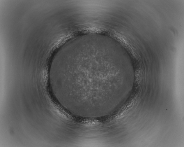 X0000112170642200908211427