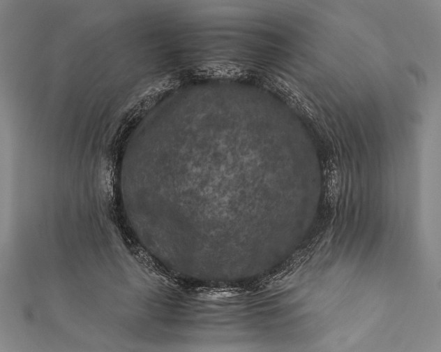 X0000112170643200908211427