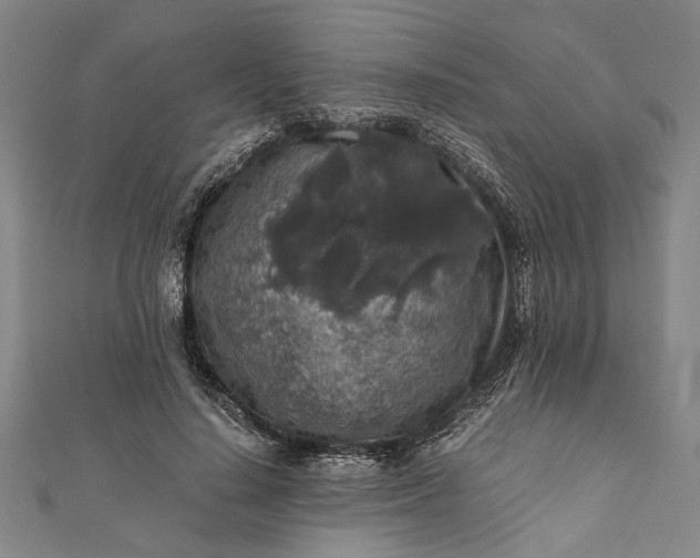 X0000112170644200908211427