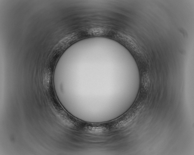 X0000112170645200908211427