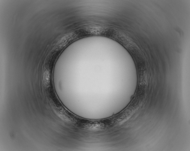 X0000112170646200908211427