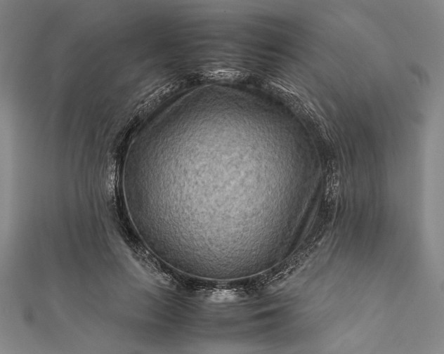 X0000112170647200908211427