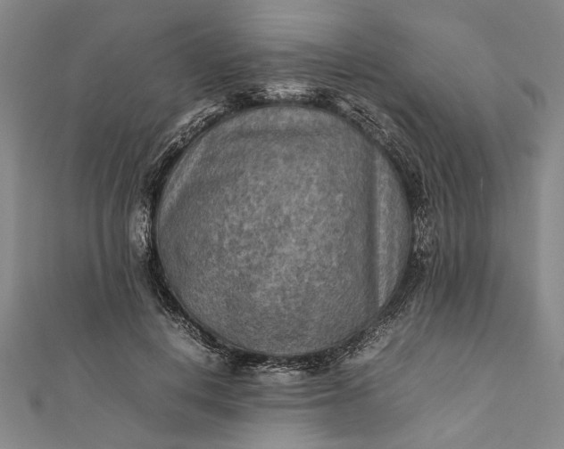 X0000112170648200908211427