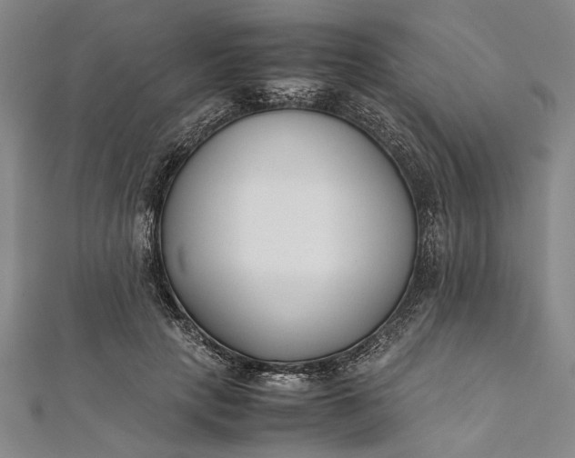 X0000112170649200908211427