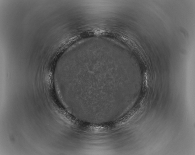 X0000112170650200908211427