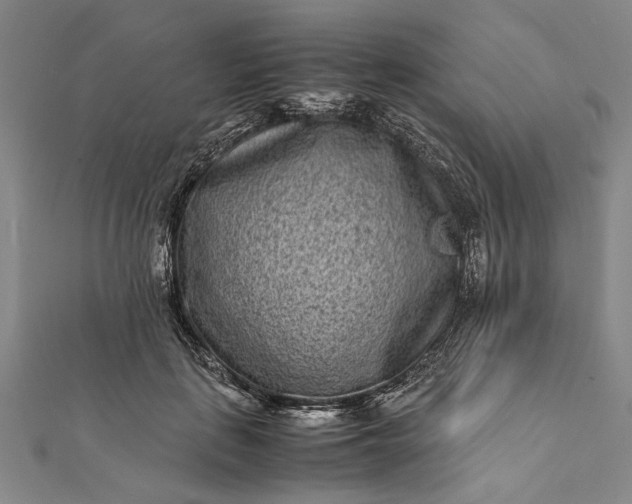 X0000112170651200908211427