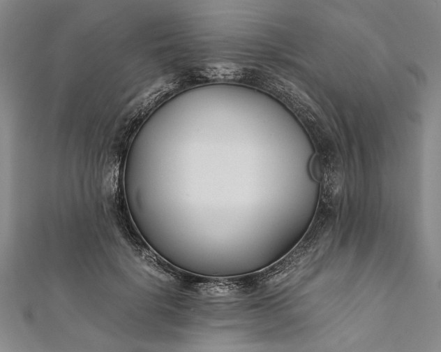 X0000112170652200908211427