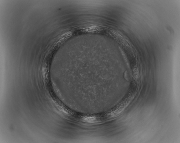 X0000112170653200908211427