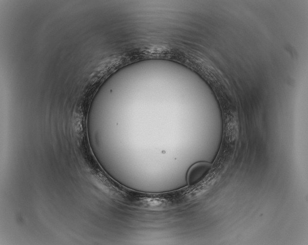 X0000112170654200908211427