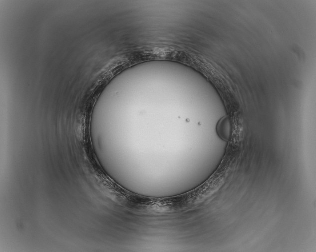 X0000112170656200908211427