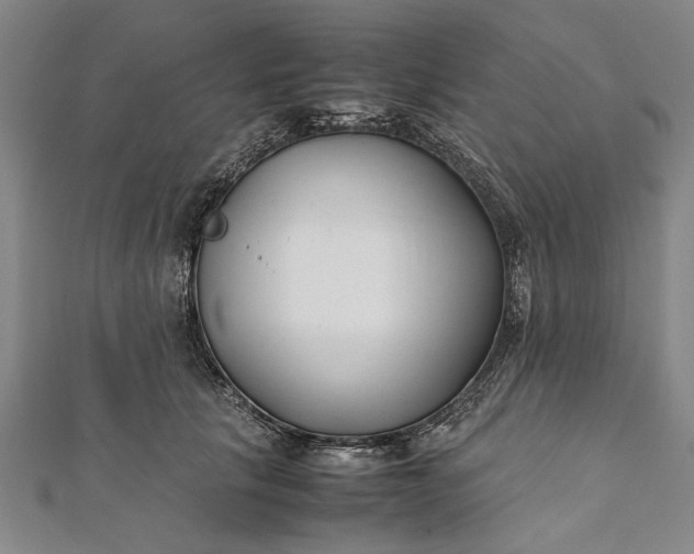 X0000112170657200908211427