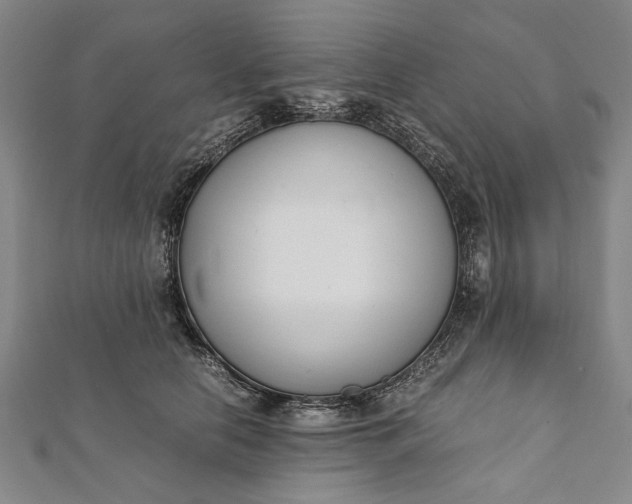 X0000112170658200908211427