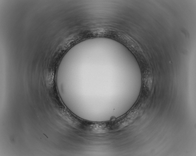 X0000112170660200908211427