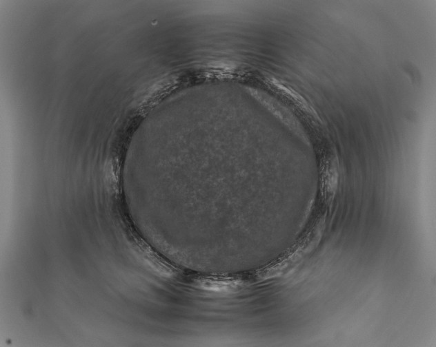 X0000112170661200908211427