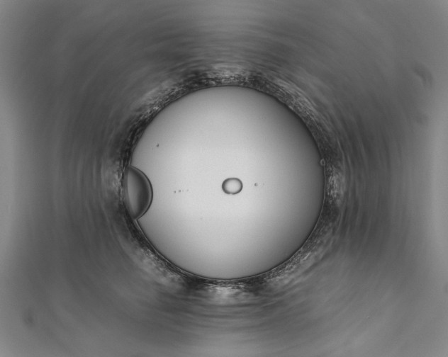 X0000112170662200908211427