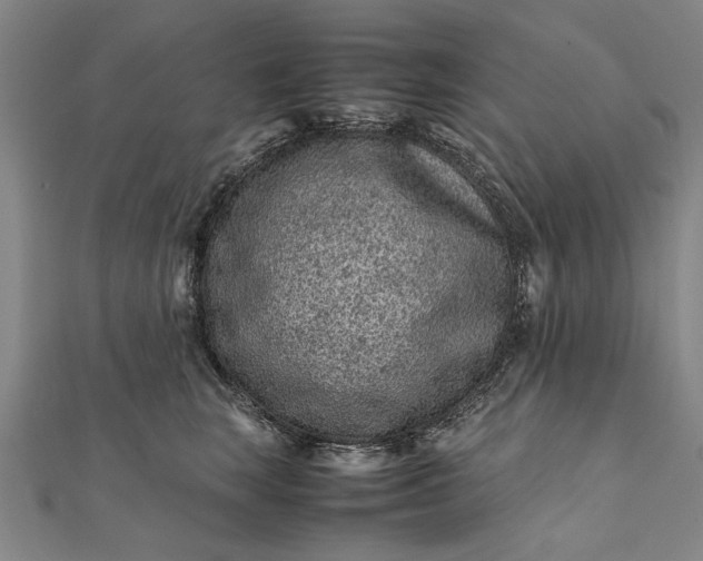 X0000112170663200908211427