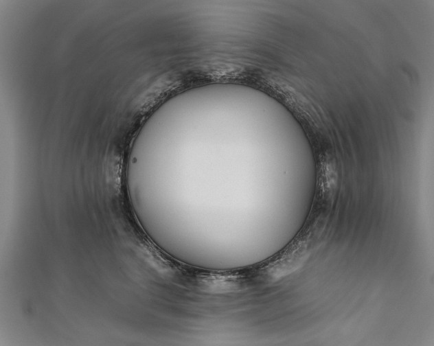 X0000112170664200908211427