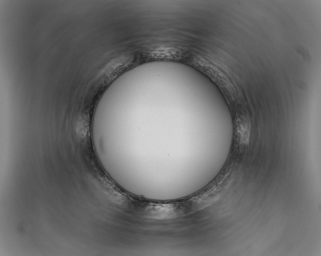 X0000112170665200908211427