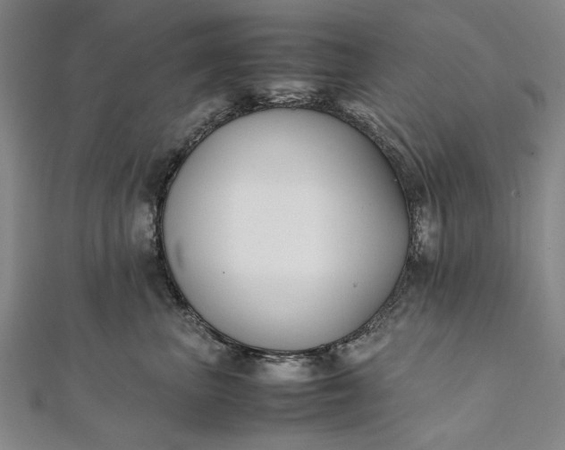 X0000112170667200908211427