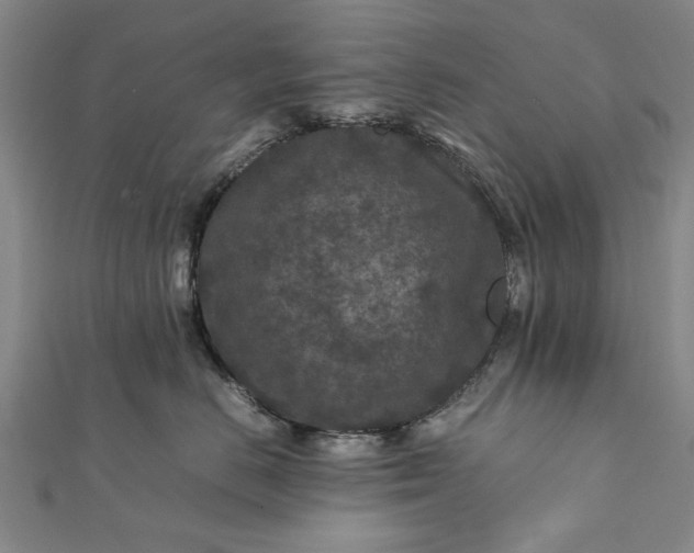 X0000112170670200908211428