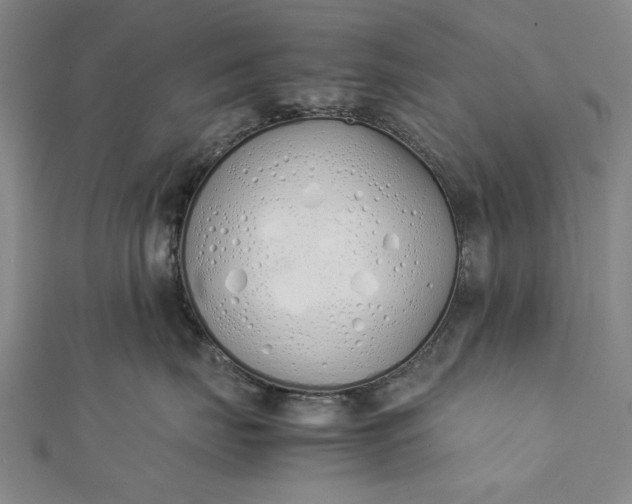 X0000112170671200908211428