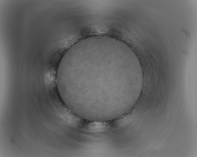 X0000112170672200908211428