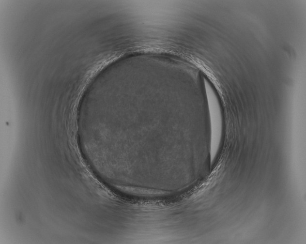 X0000112170673200908211427