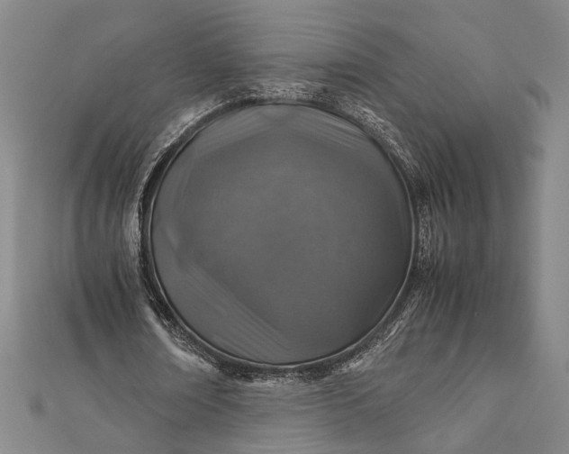 X0000112170674200908211427