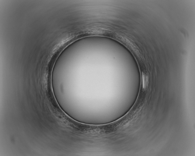 X0000112170675200908211427