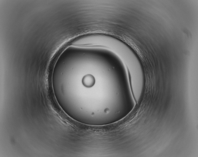 X0000112170676200908211427