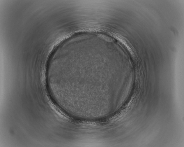 X0000112170677200908211427