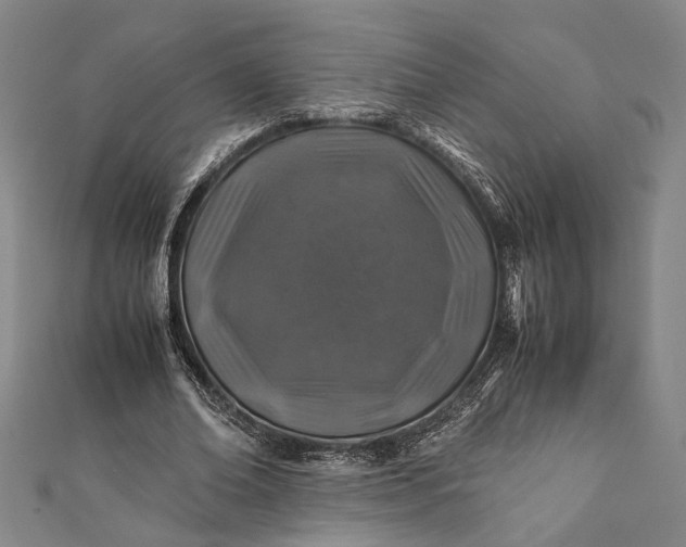 X0000112170678200908211427