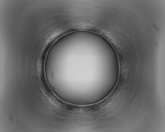 X0000112170679200908211427