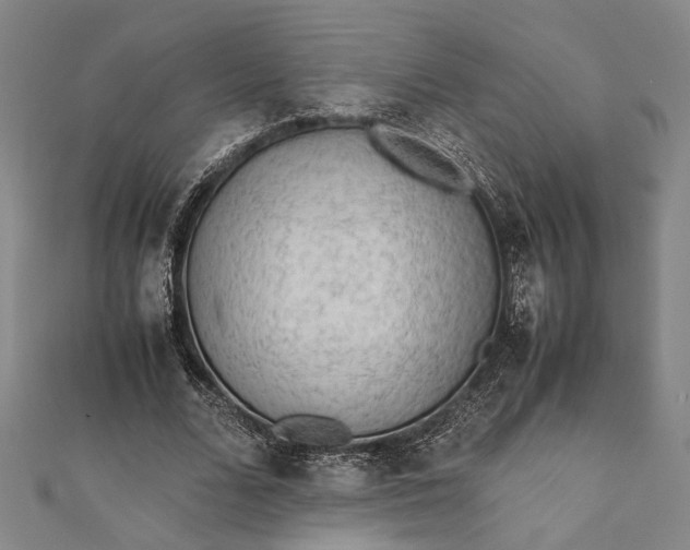 X0000112170680200908211427