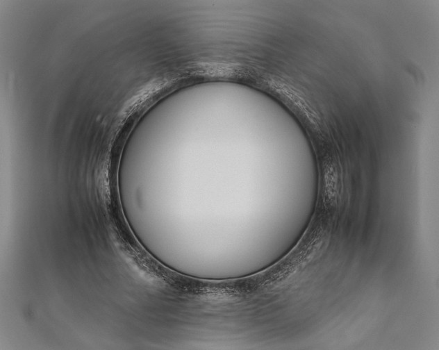 X0000112170682200908211427