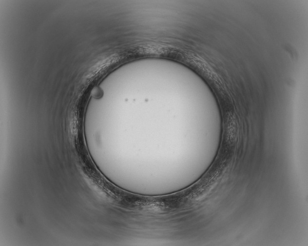 X0000112170683200908211427