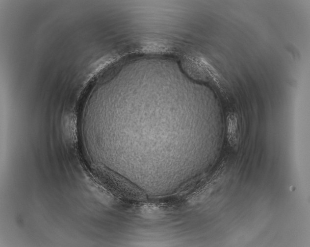 X0000112170684200908211427