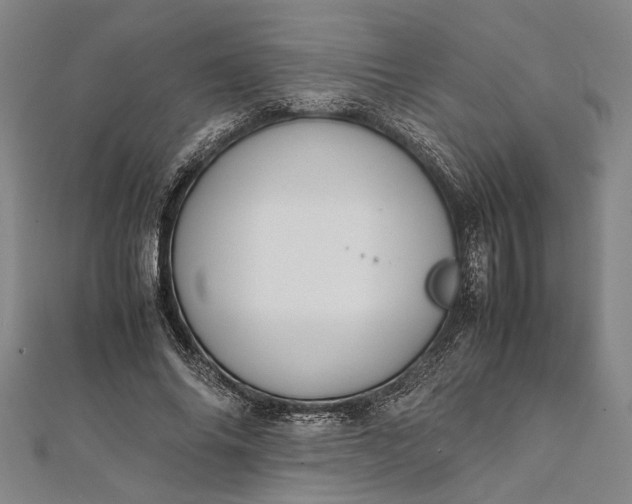 X0000112170686200908211427