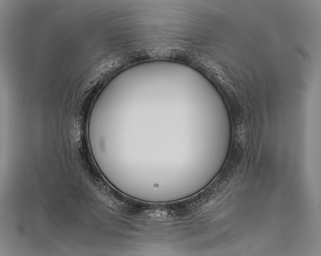 X0000112170687200908211427