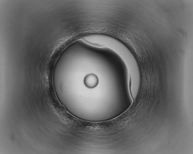 X0000112170688200908211427