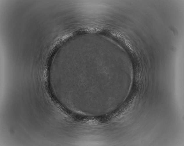 X0000112170689200908211427